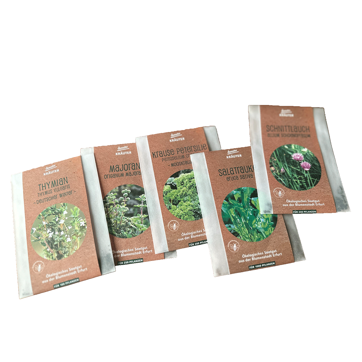 SAATGUTSET Kräutermix 4+1 - Bio