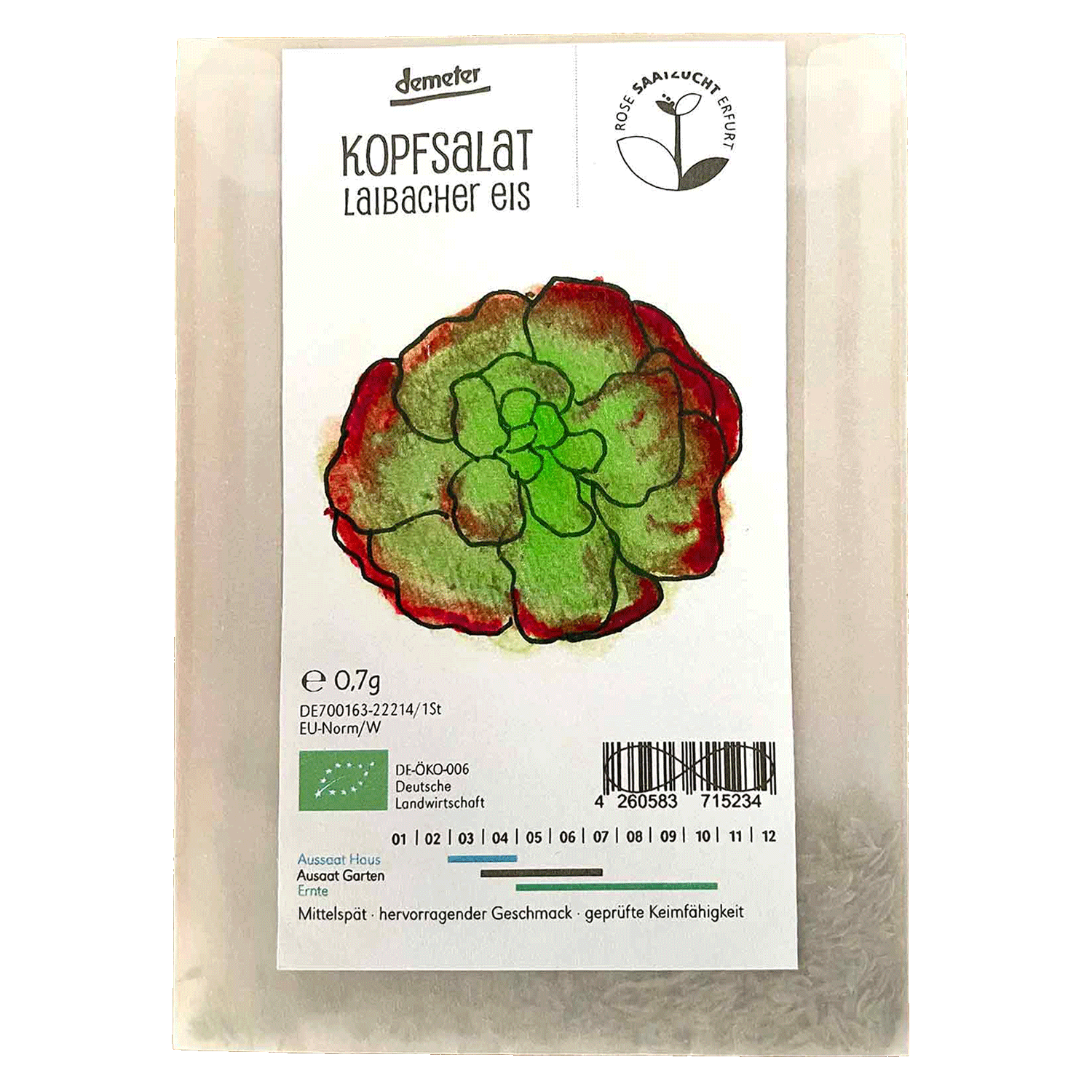Saatgut - Eisbergsalat Laibacher Eis - Bio